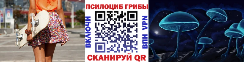 Псилоцибиновые грибы Psilocybine cubensis даркнет сайт Армавир