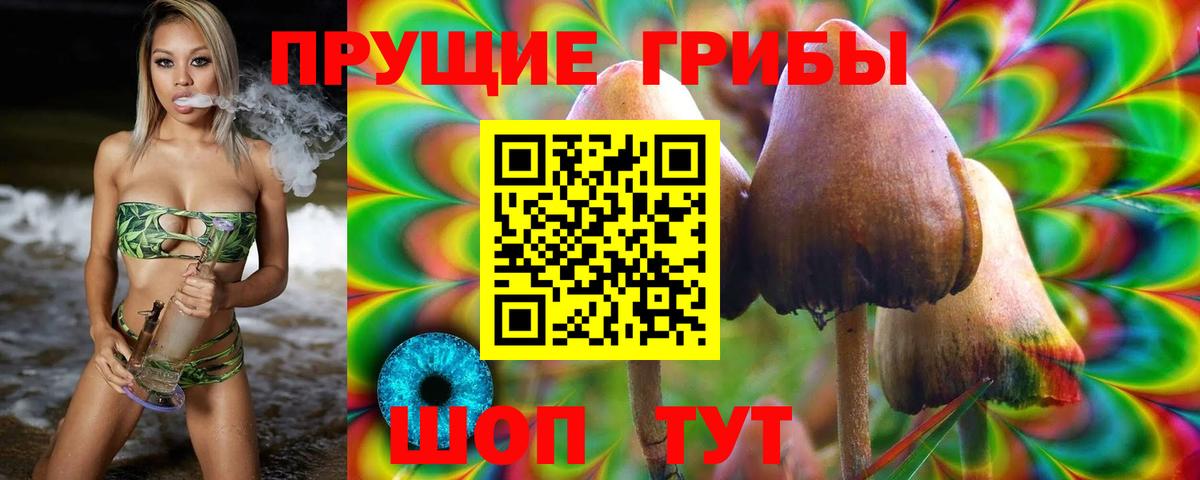 Псилоцибиновые грибы мицелий Армавир