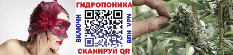 Бошки марихуана гибрид  купить наркотики сайты  Армавир 